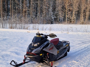 Ski-Doo MX Z