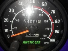 Arctic Cat Bearcat