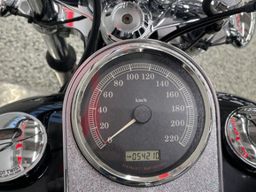 Harley-Davidson Softail