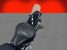Harley-Davidson Softail