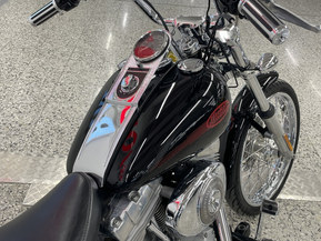 Harley-Davidson Softail