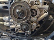 Harley-Davidson Softail