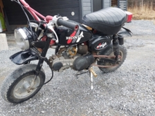 Honda Monkey