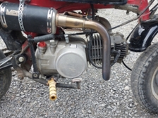 Honda Monkey