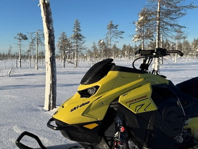 Ski-Doo Freeride