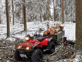 Honda Foreman