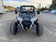 Polaris RZR