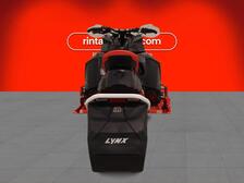 Lynx Rave
