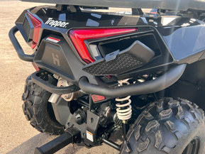 Trapper 450L T3b EPS Guardian