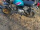 Honda Monkey