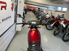 Benelli Leoncino