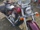 Honda Shadow