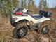 Kawasaki Brute Force