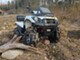 Kawasaki Brute Force