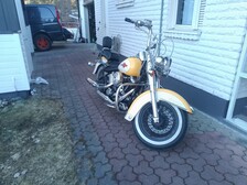 Harley-Davidson Softail