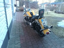 Harley-Davidson Softail