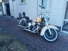 Harley-Davidson Softail