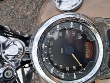 Harley-Davidson Softail