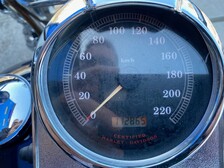 Harley-Davidson Softail