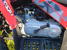 Can-Am DS