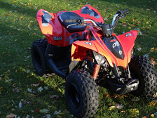 Can-Am DS
