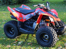 Can-Am DS