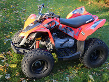 Can-Am DS