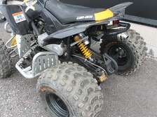 Can-Am DS