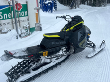 Polaris Pro RMK