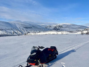 Ski-Doo Renegade