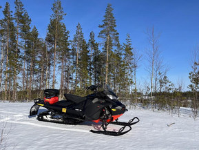 Ski-Doo Renegade