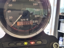 Harley-Davidson Dyna