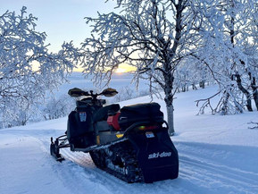 Ski-Doo Renegade