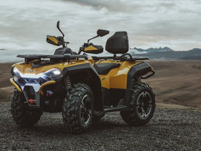 Trapper 750L T3b EPS Guardian