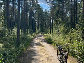 Muu merkki Muu malli