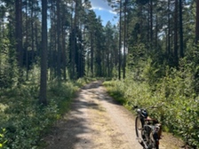 Muu merkki Muu malli