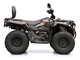 Loncin XWolf