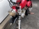Zhenua Monkey