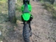 Kawasaki KX