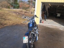 Harley-Davidson Softail