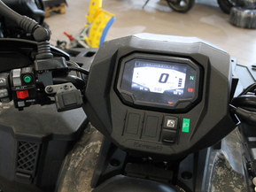 Kawasaki Brute Force