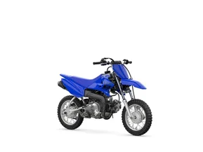 Yamaha TT-R