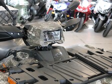 Kawasaki Brute Force