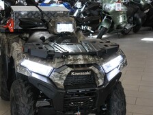 Kawasaki Brute Force