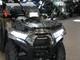 Kawasaki Brute Force