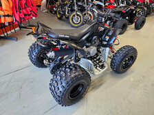 Can-Am DS