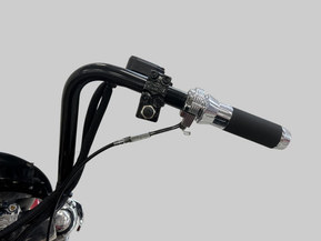 Harley-Davidson Softail