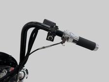 Harley-Davidson Softail