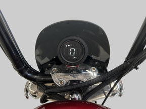 Harley-Davidson Softail