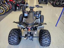 Can-Am DS